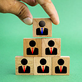 Human Resources Provision